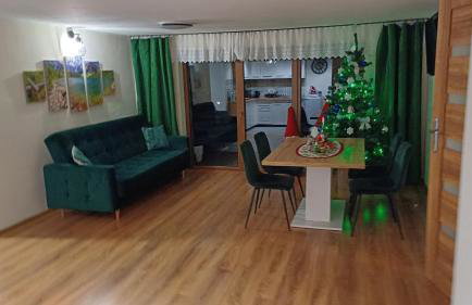 Pokoje gościnne u Majerczyków - Foto 12