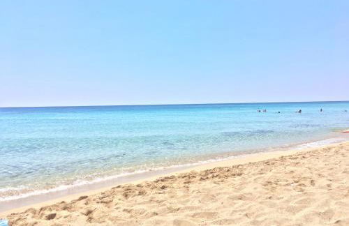 Il Fenicottero - Foto 3