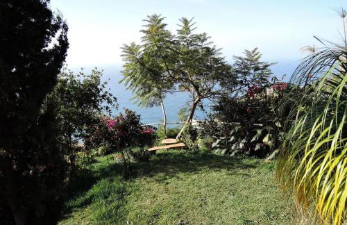 Holiday Home in Canhas mit Schönem Garten by Interhome - Foto 16