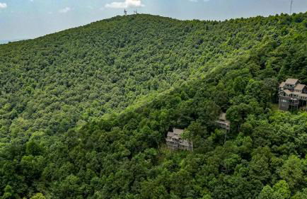 Southern Views - Photo 58