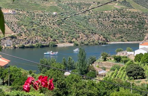 casa das ameias - Foto 27