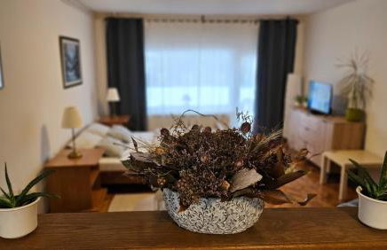 Apartman Angel - Foto 7