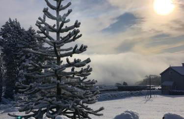 SANDYVIEWS - Foto 43