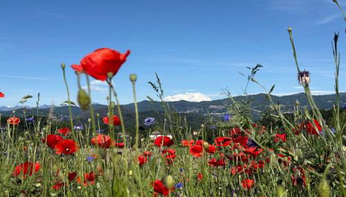 A Casa di Ale Lago Maggiore Private outdoor sauna - Foto 3