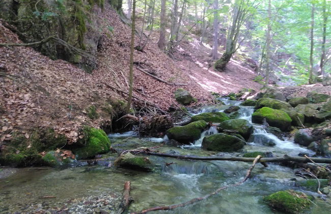 Ski-Lake Cottage Nízke Tatry - Foto 15