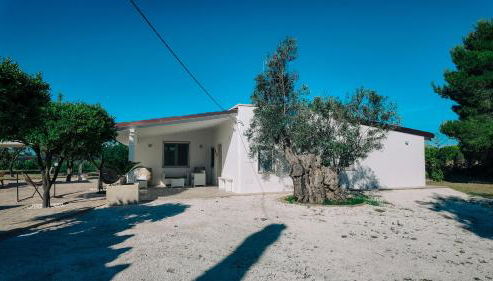 Tenuta Pizzi - Foto 4