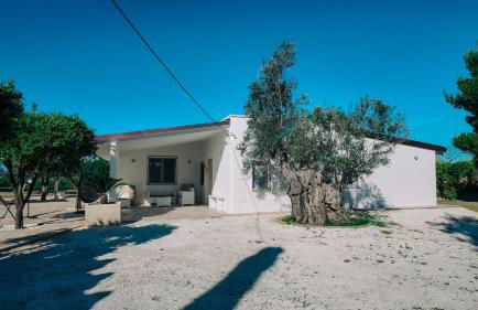 Tenuta Pizzi - Foto 4