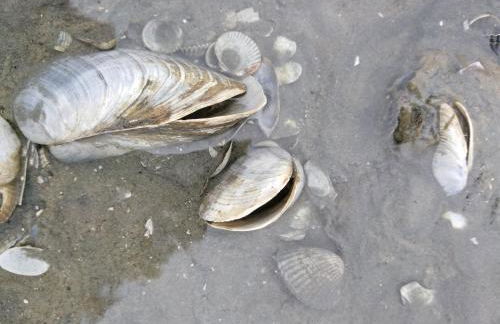 Ferienwohnung-Treeneblick - Foto 43