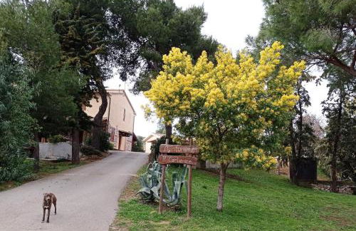 Agriturismo IL CANTINIERE - Foto 64