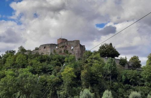 Fewo mit Hund in Bodenwerder - Foto 13