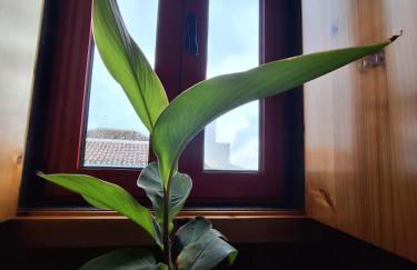 Casa do Poço - Photo 46