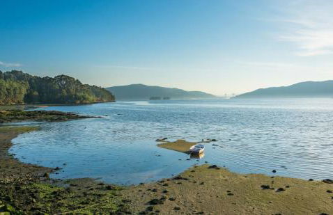 HYP - Lord Parrulo - Foto 19