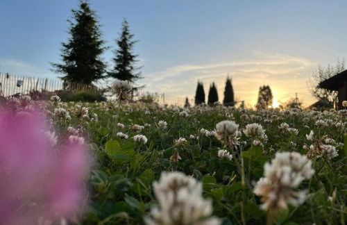Ferienwohnung Sonnenplatzl - Foto 22