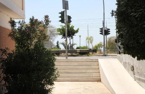 Olga's Studio - Foto 36