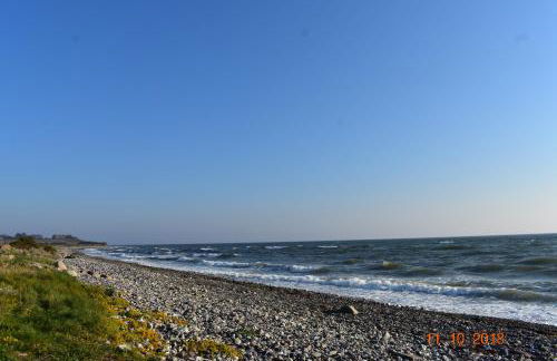 Ostseebauernhof Schönhagen - Foto 37