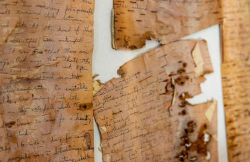 Charming Vacation Rental in the Heart of South Park near Fairplay, Colorado - Foto 26