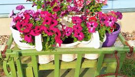 Ferienbungalows am See - Photo 2