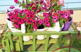 Ferienhuette - Photo 3