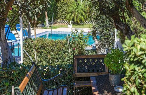 Holiday home, Marathokefala near Kolimbari - Photo 34