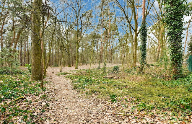 Wooden Holiday Home in Meijel With Private Garden - Photo 35