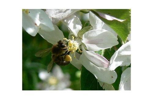 Hiemer 2 Comfortable holiday residence - Foto 27