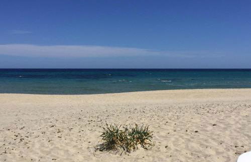 Porto Frailis - Foto 27