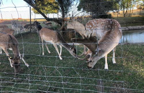 Seeblick Apartments Mühlau - Foto 47
