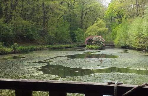 No 4 Trelawney Apartment - Onsite Bar - Restaurant - Horse Riding - Foto 17