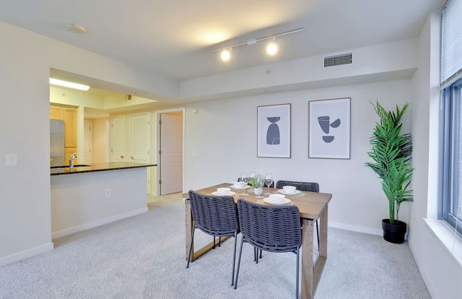 Relaxing Vibe Alexandria Apts - Photo 44