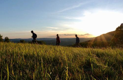 Mountain Lodge Istria - Stone Lodge II - Photo 39