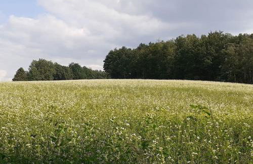 Schöne und ruhige Ferienwohnung in Ottendorf - Foto 20