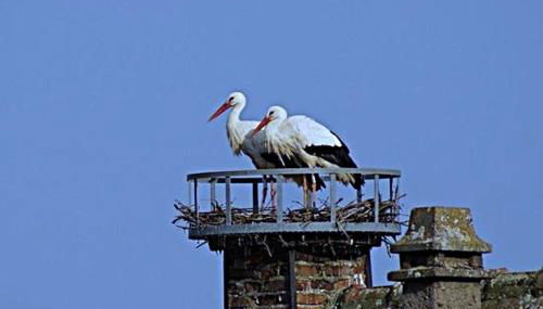 Gîte Aux P'tits Cœurs d'Alsace - Foto 5