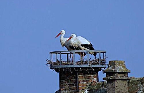 Gîte Aux P'tits Cœurs d'Alsace - Foto 5