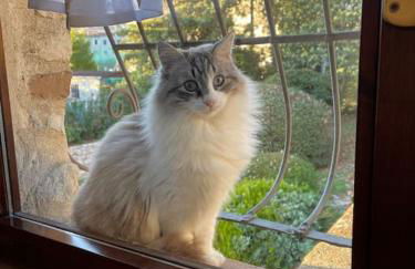 Atelier Fuori Città - Foto 21