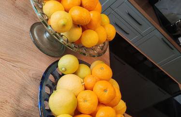 MASLINA Rogoznica NEW VILA - Foto 43