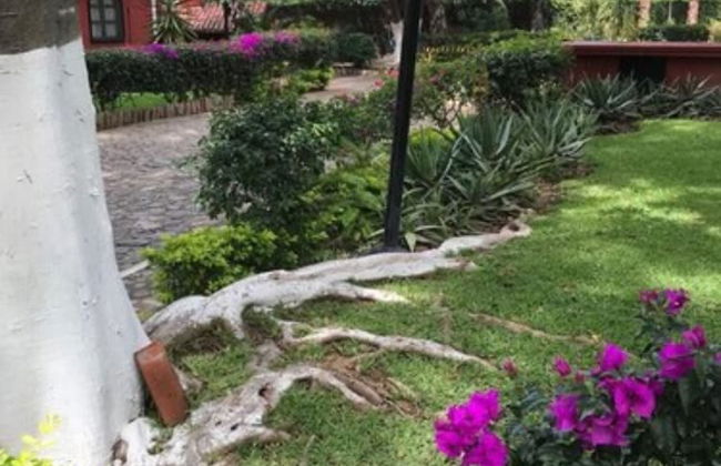 Bungalows La Huerta - Foto 37