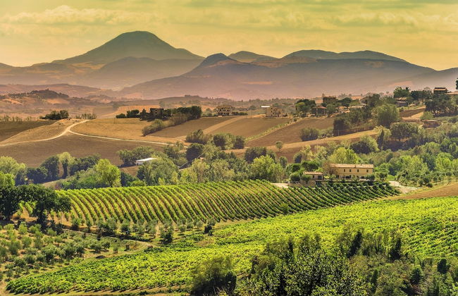 Villa w/ Wine Tours Near Beach - Foto 35