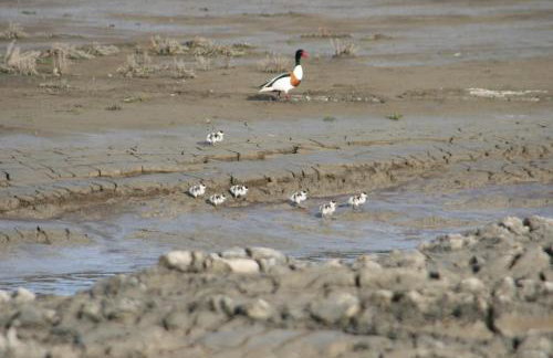 Gästehaus Neuwarft - Foto 38