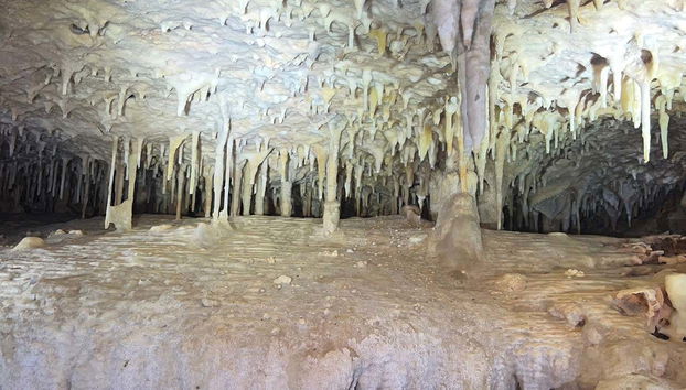 Tour por las cuevas de Bonaire con snorkel - Foto 4