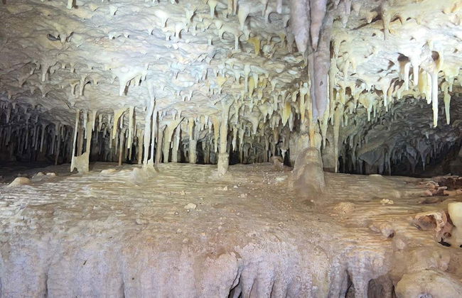 Tour delle grotte di Bonaire con snorkeling - Foto 4