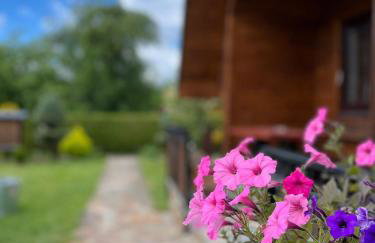 Domki pod Skałką - Foto 35