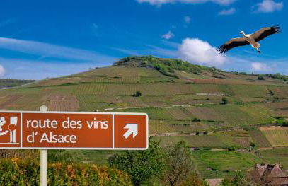 Appartement au cœur du Val d'Argent - Foto 14