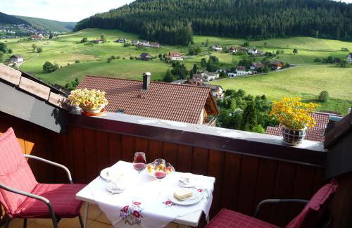 Schwarzwald-Ferienwohnungen Begert - Foto 10