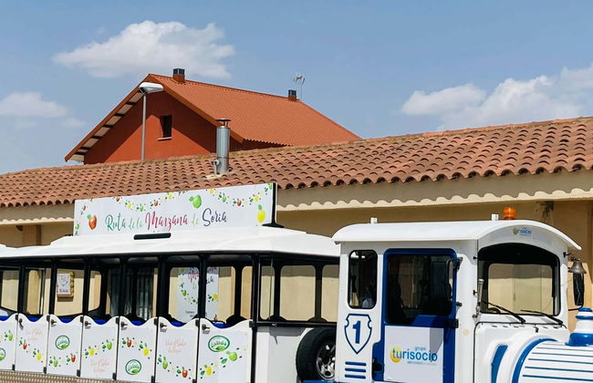 Tour in Burgo de Osma-Ciudad de Osma - Foto 1