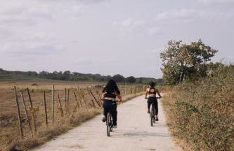 Monte dos Coureleiros - Foto 29