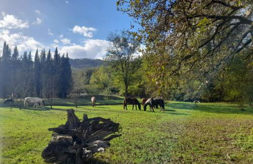 La Casella Antico Feudo di Campagna - Foto 101