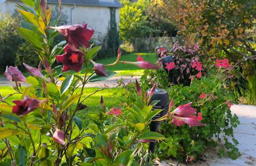 Les Treilles de Salies - Studio au calme - Foto 25