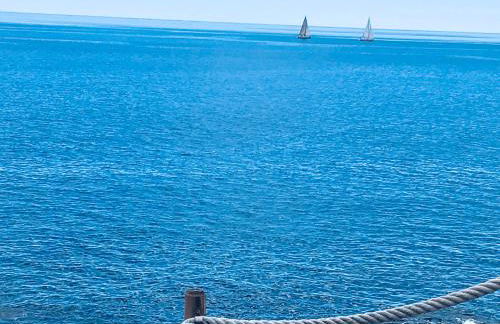 Studio 1 Hab - Foto 11