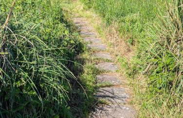 Rest Bay Beach Stay - Foto 30