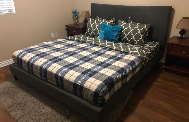 Hollywood Splendid Vacations - Foto 2